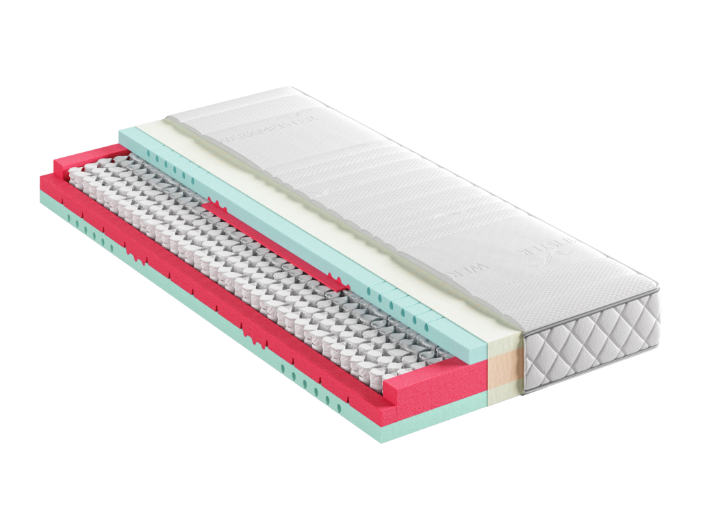 8. Werkmeister – .T_610_S-1024×768